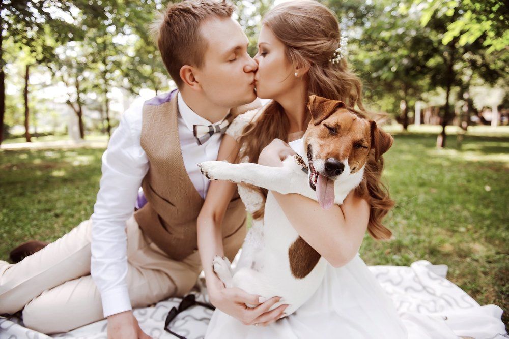 третий не лишний