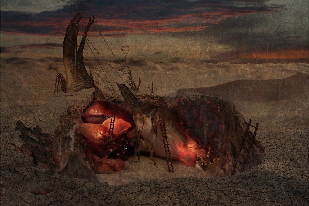 Фотография автора Виктор Кириллов