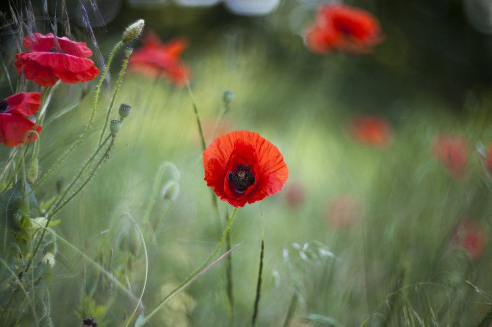 Горя под солнцем!!!