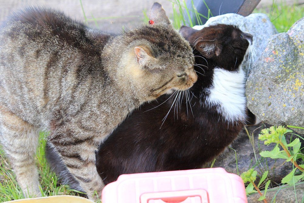 Март месяц продолжается...