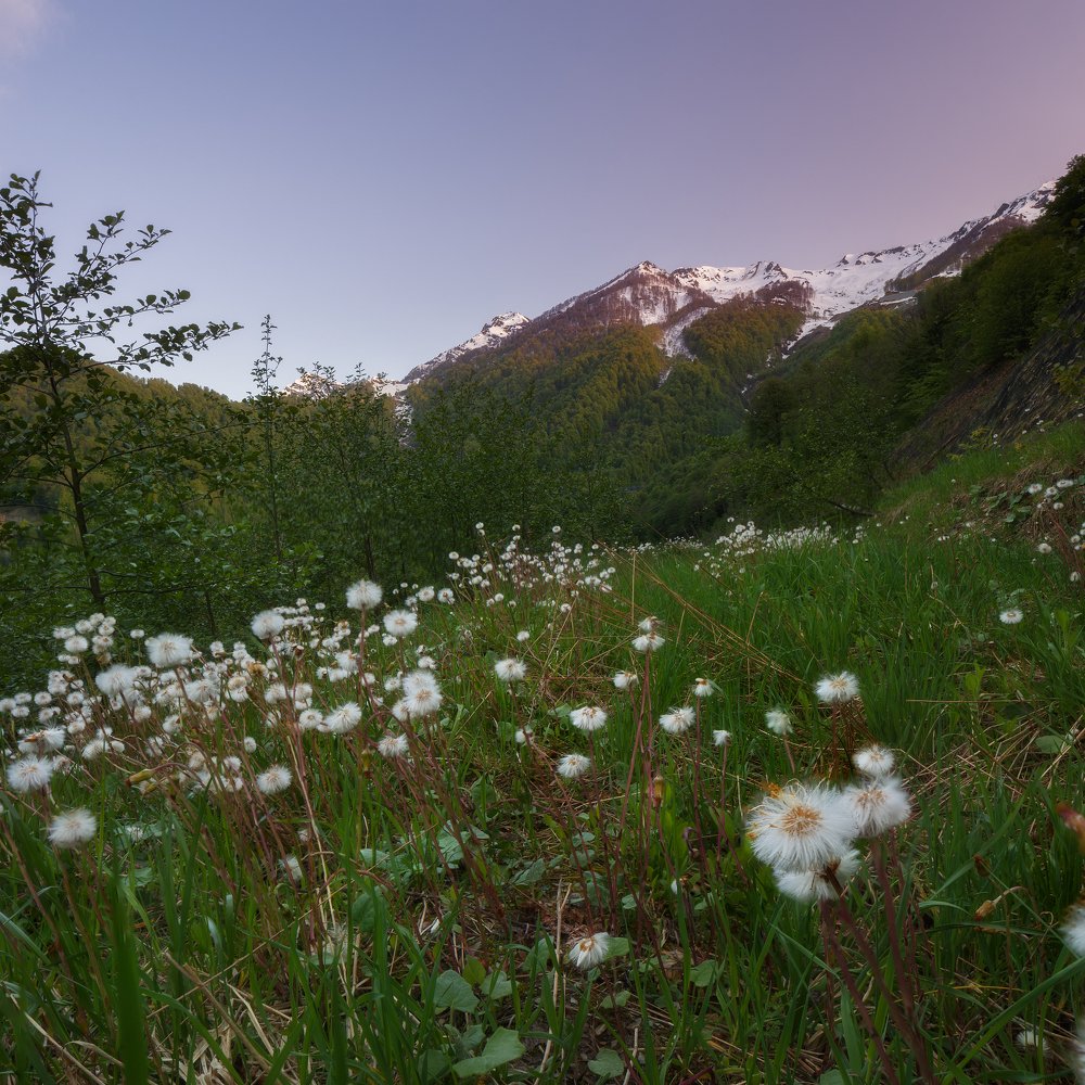 Photograph by Сергей Гордиенко