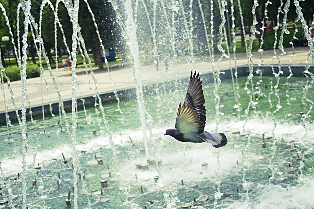 Сквозь брызги