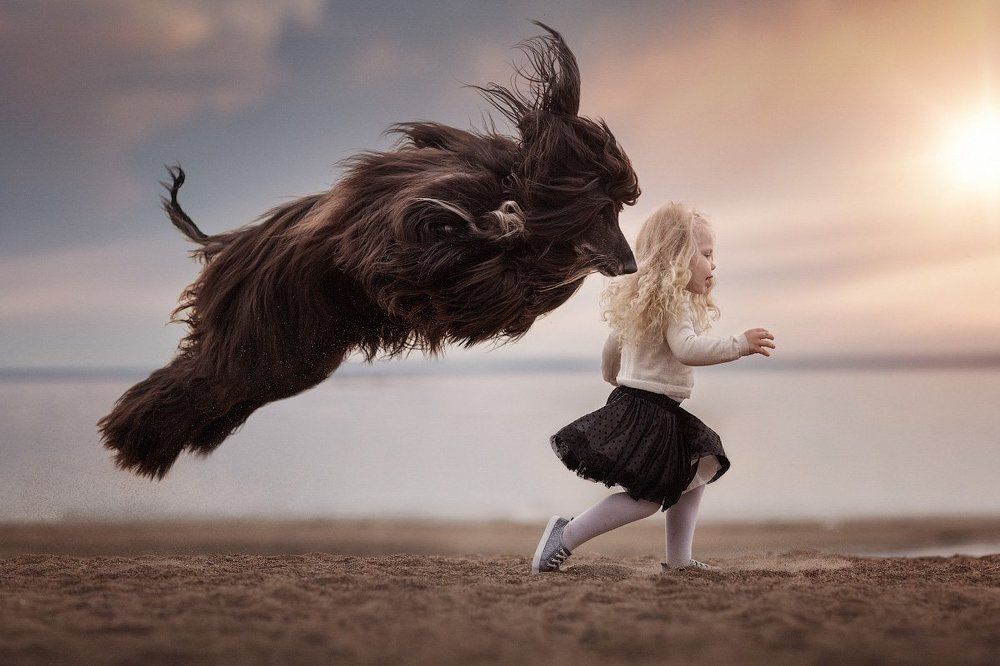 With Wind Speed - Race with