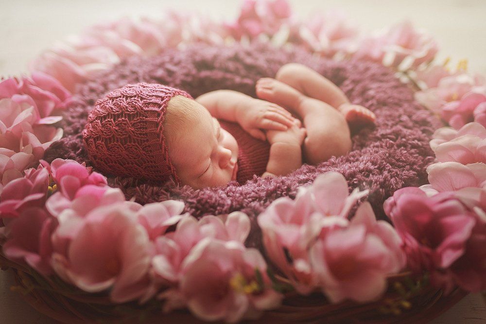 В утренней пыльце