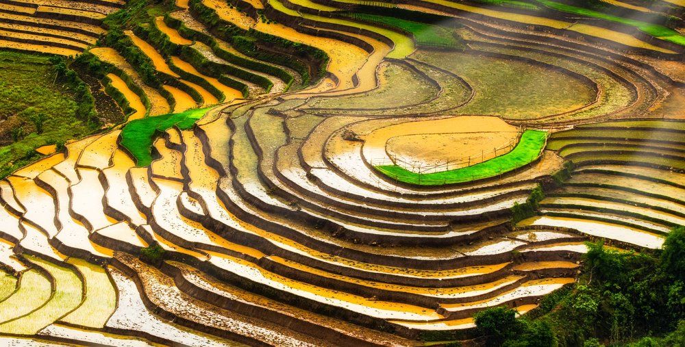 Pattern of land and water.