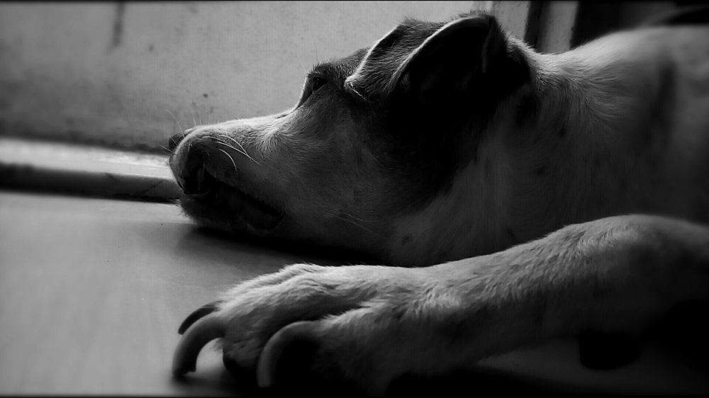 Black and Photography