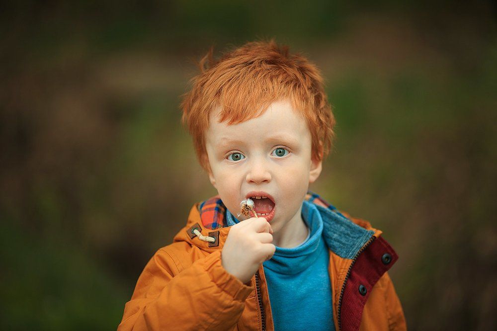 Лисёнок Олежка