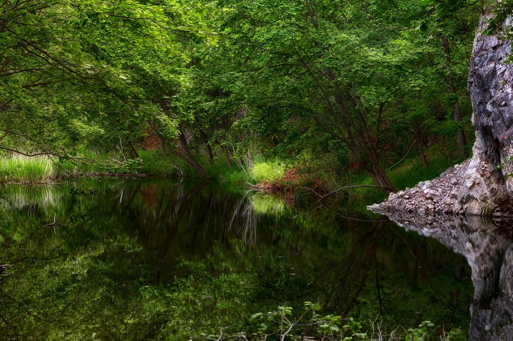 летний ручей