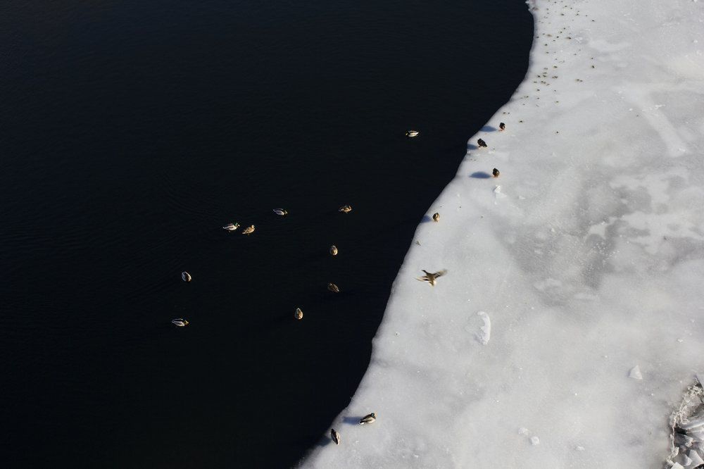 Минимализм