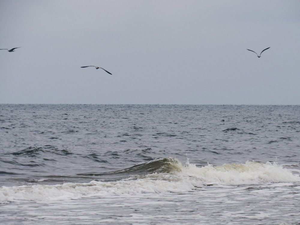 Photograph by Карина Хаустова