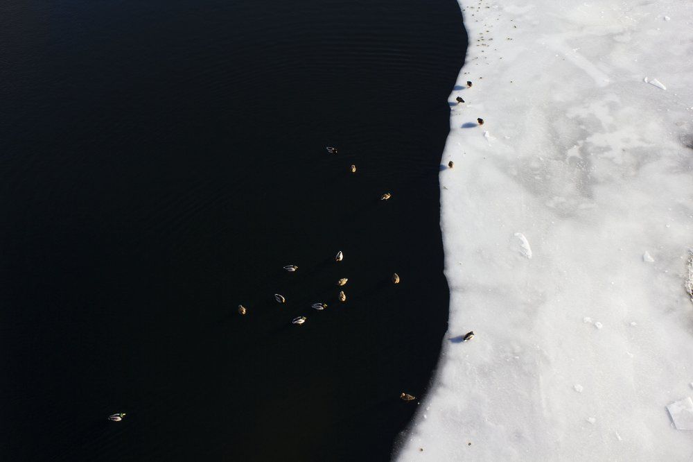 Photograph by Анастасия