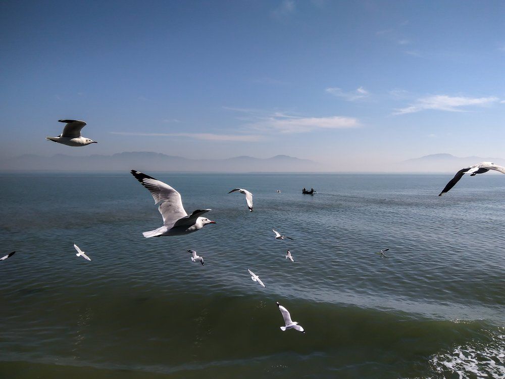 Photograph by Ashiqur Prokrety