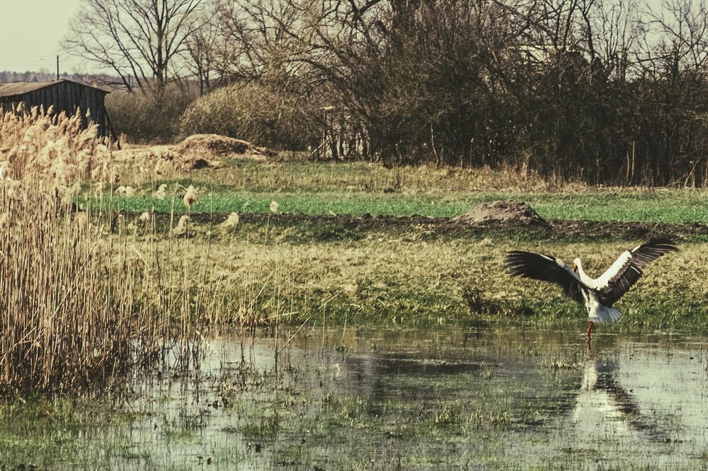 Photograph by Анастасия