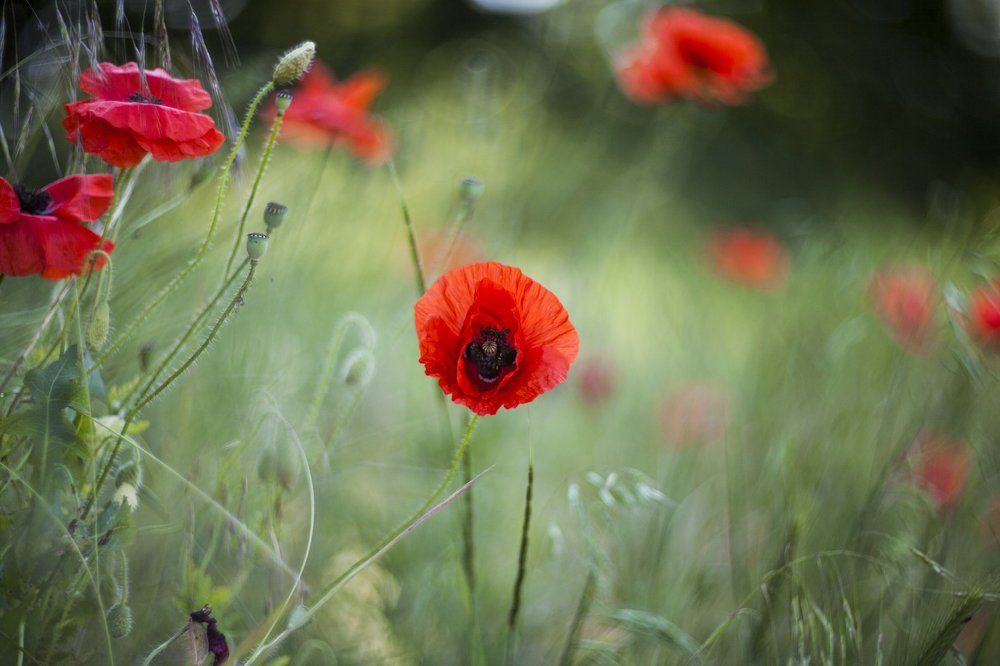 Горя под солнцем!!!