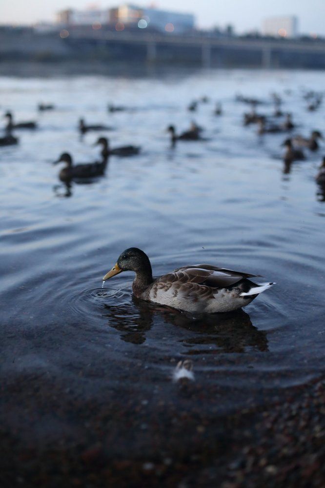 Photograph by Olga Rogovaya