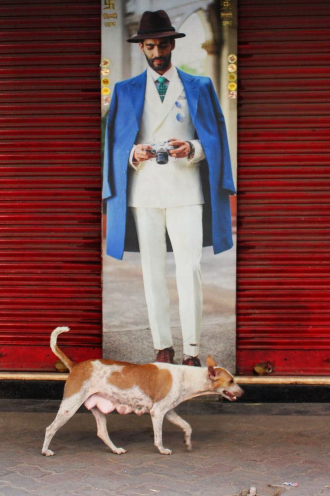 Don't move,I am clicking you.