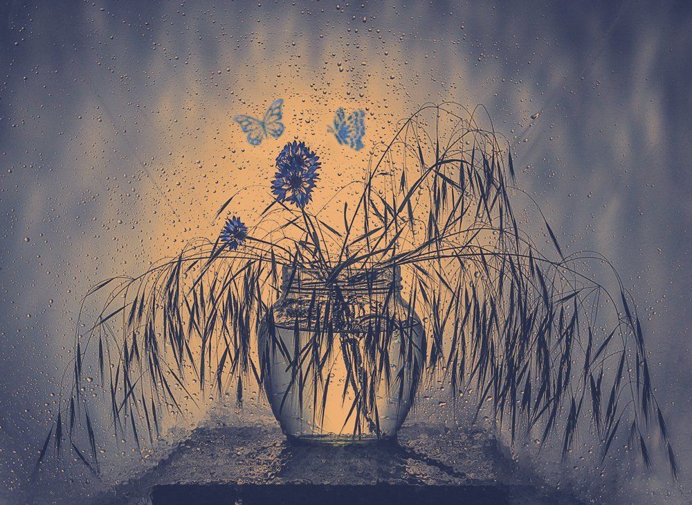 на рассвете,,