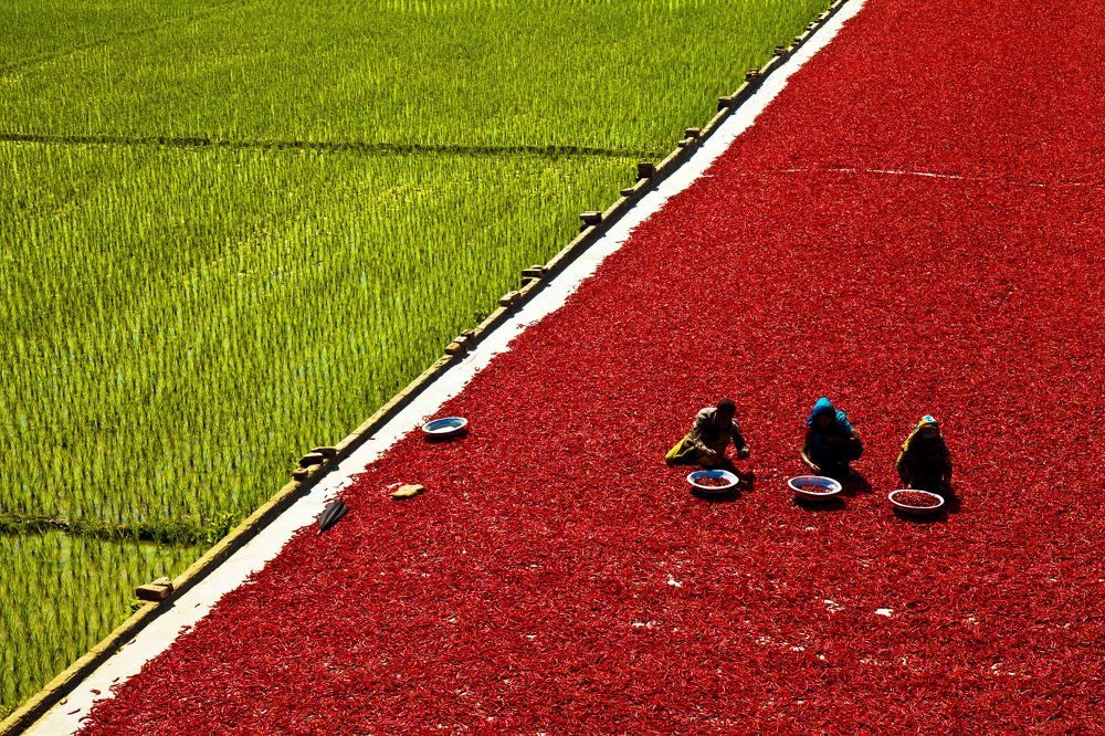 Beautiful Bangladesh