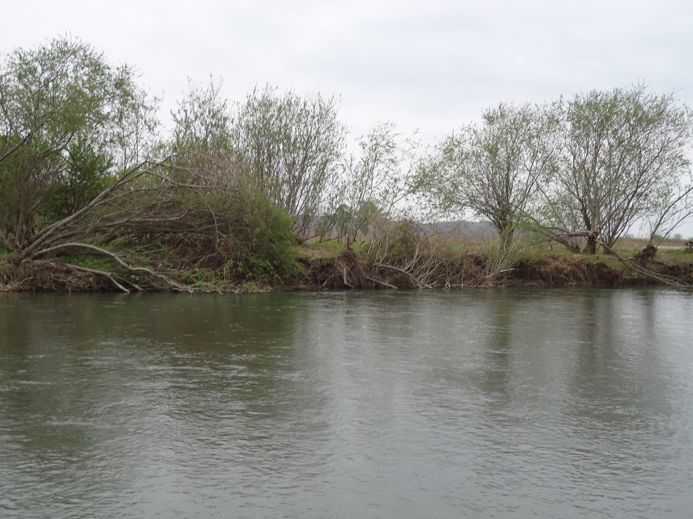 Photo #1796897