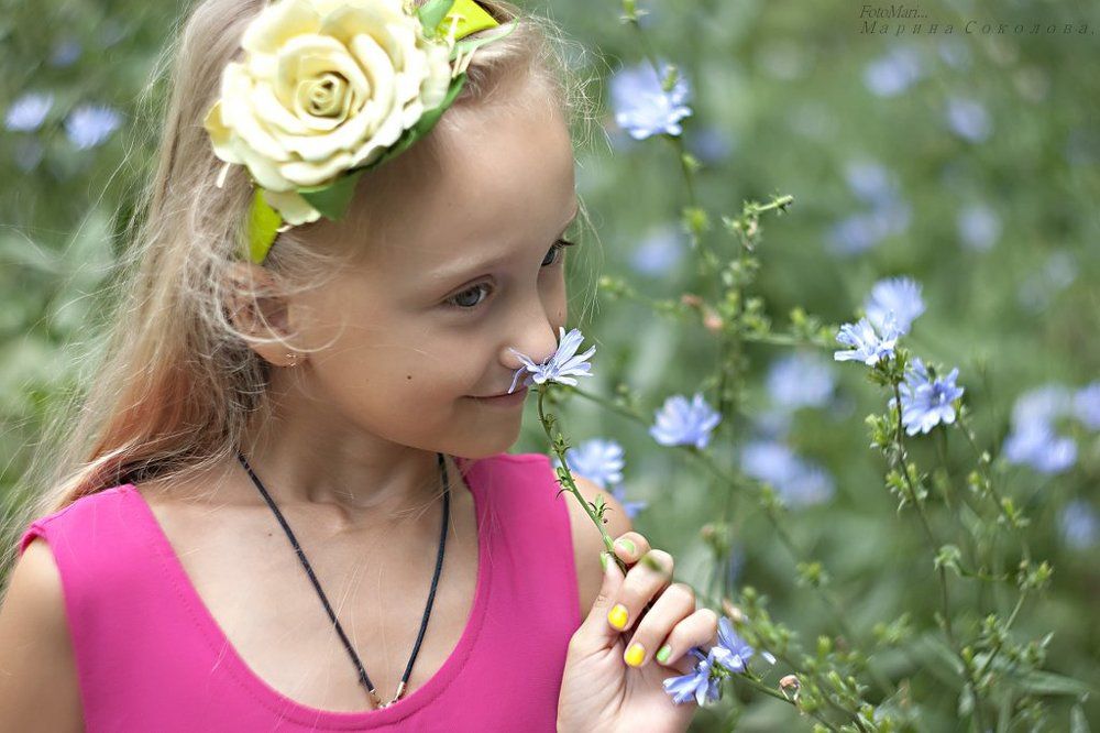 Аромат цикория.