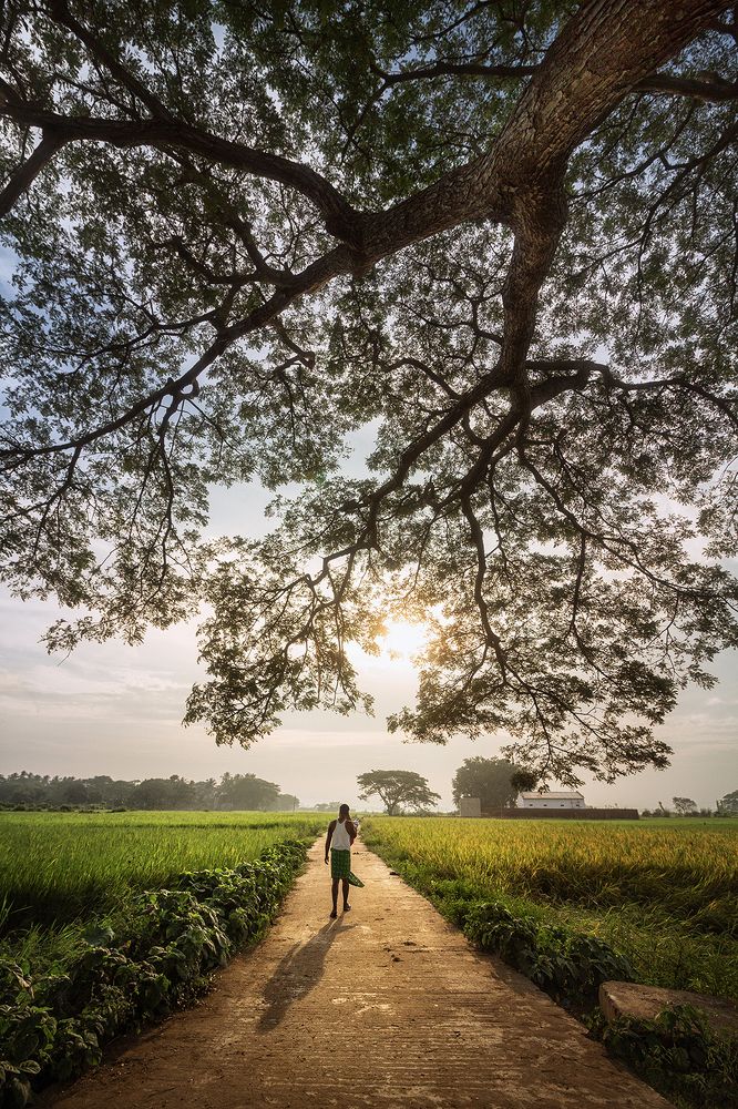 Bond between Life & Nature