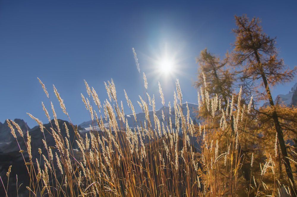 Альпийская осень
