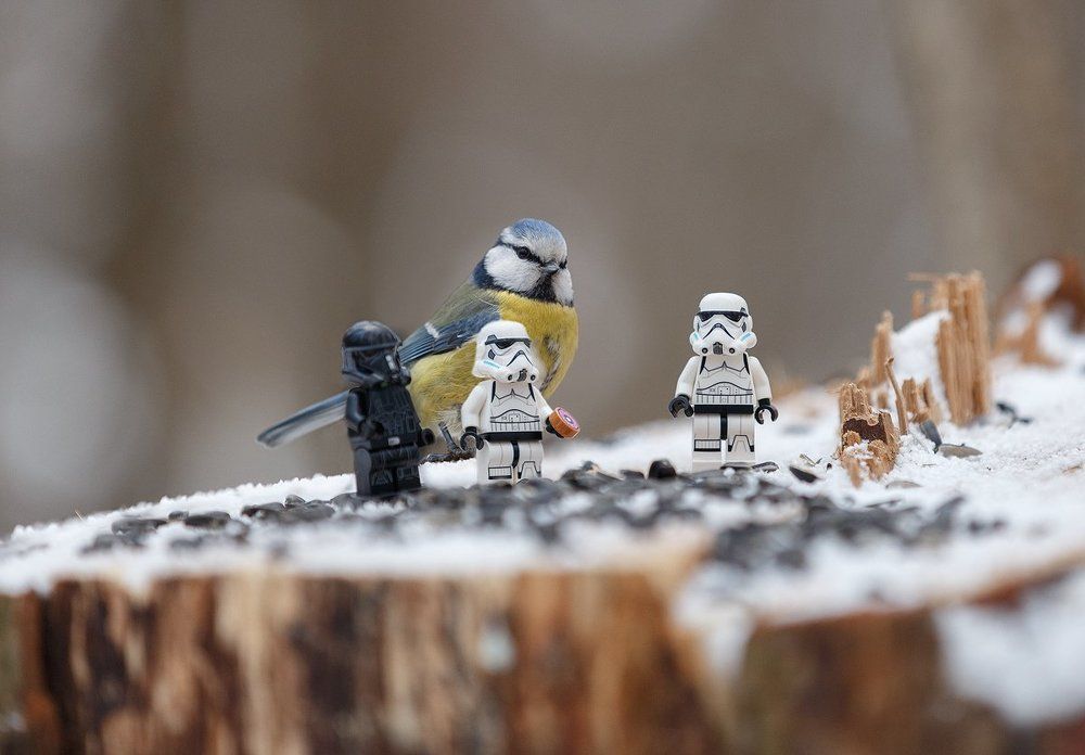 Photograph by Сергей Гордиенко