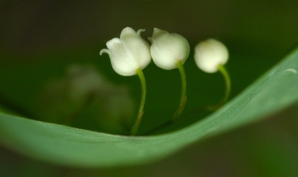 Photograph by Тим Талер