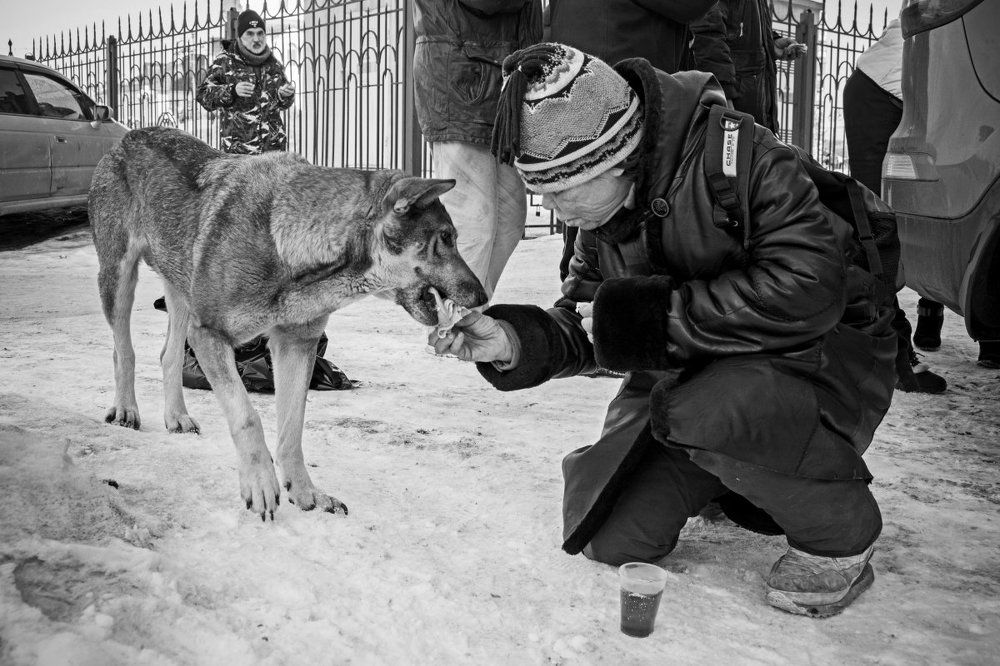 «Милосердие» или «Бездомная и бродячий пёс»