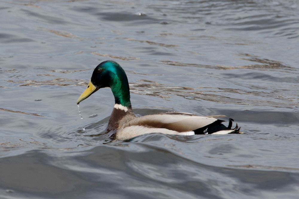 Photograph by Димтрий