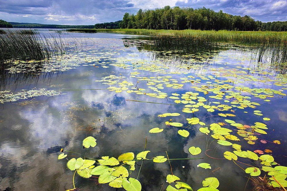 Там где спят озера в тишине глухой