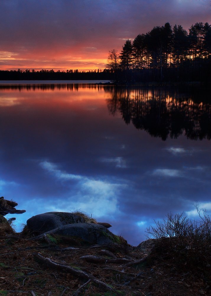 Photograph by Ольга Йонш