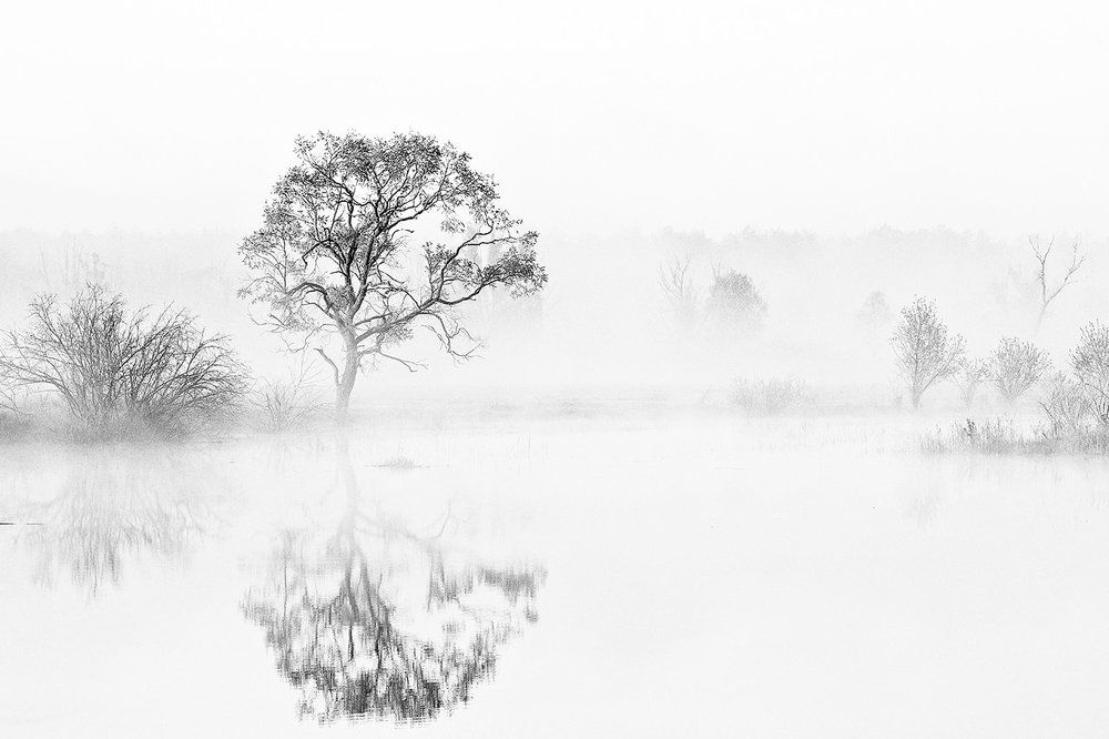 Туманное утро.