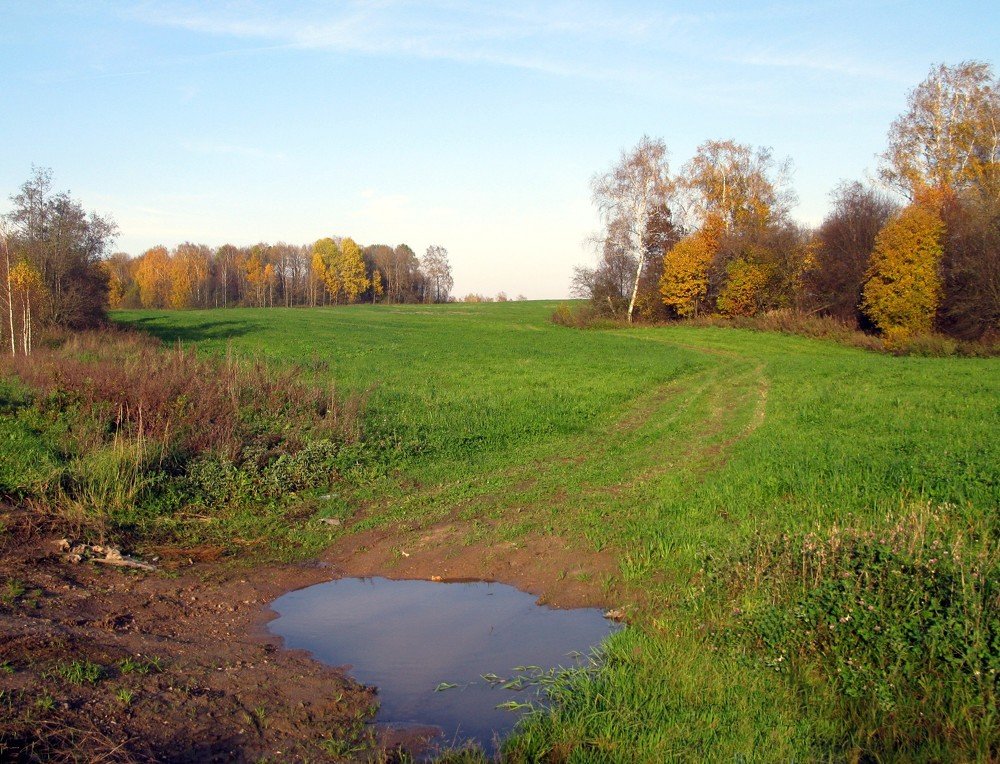 Октябрь уж наступил...