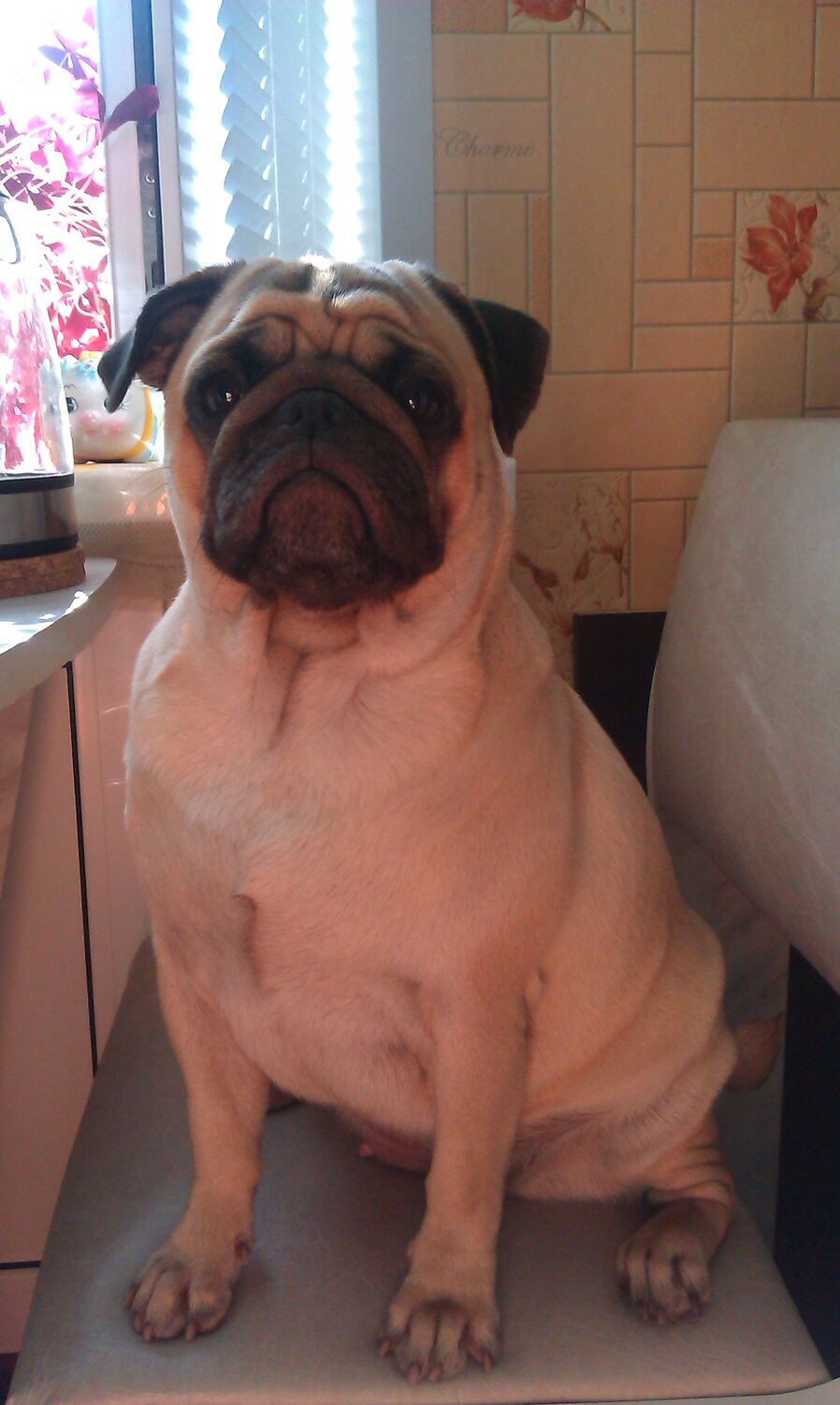 Photo #1798418