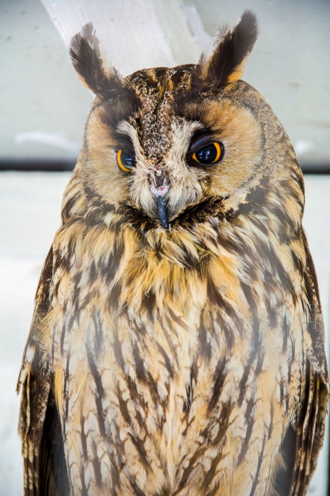 Photograph by ANTON KHOMENKO https://www.patreon.com/ant_vipp