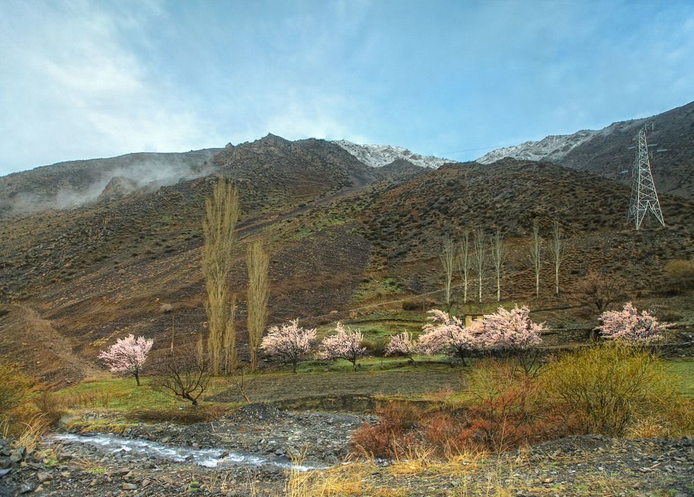 Весна в горах . Айни. Таджикистан