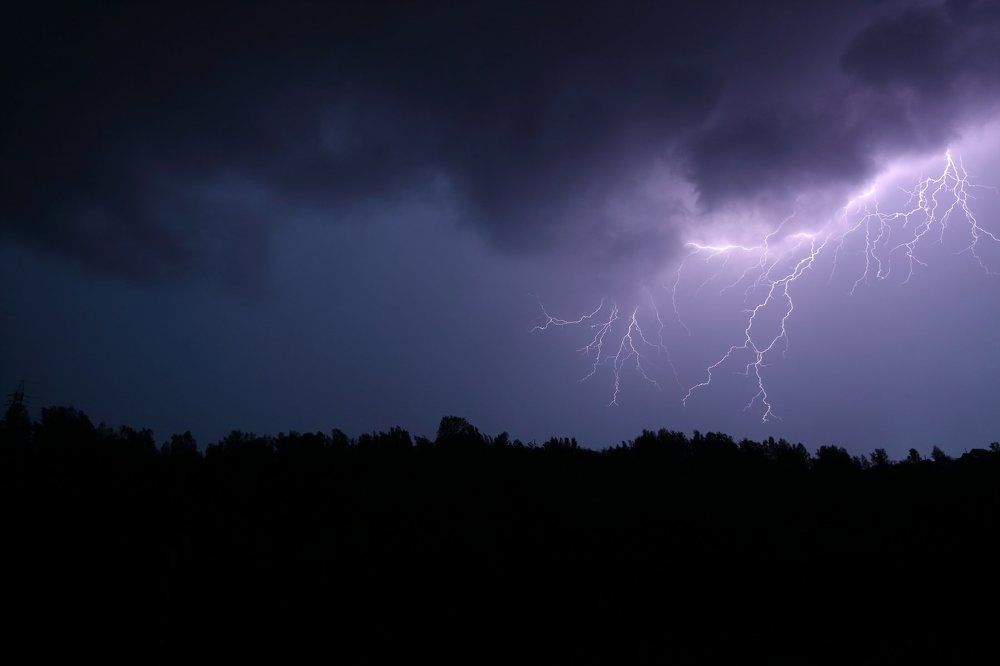 Photograph by Olga Rogovaya