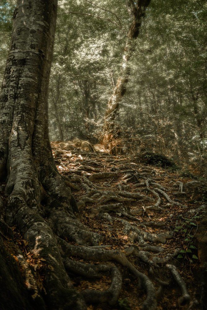 Там на неведомых дорожках ...