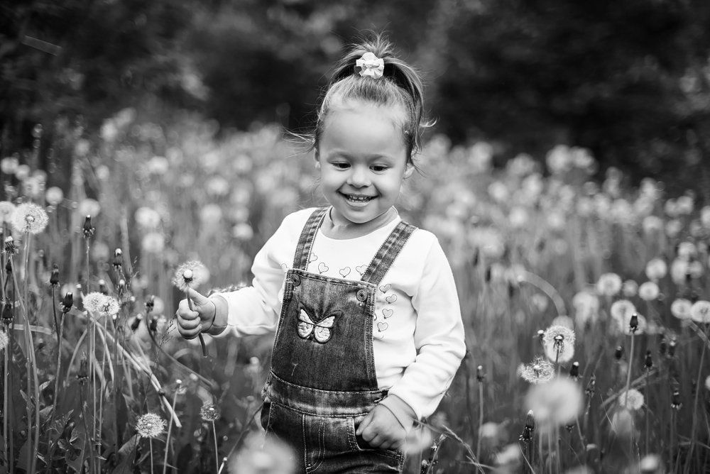 Одуванчики