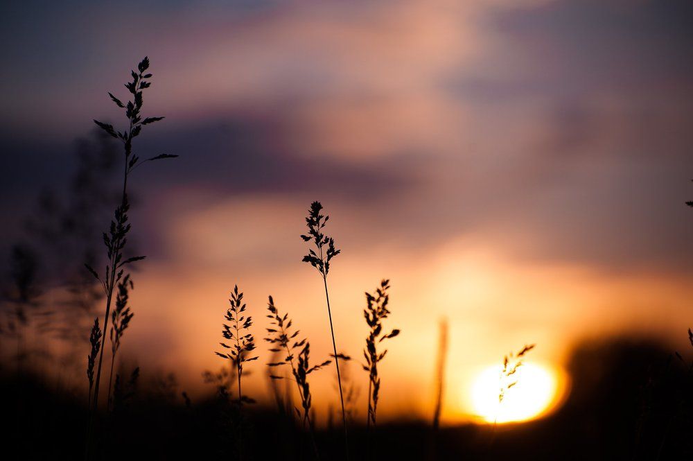 На рассвете