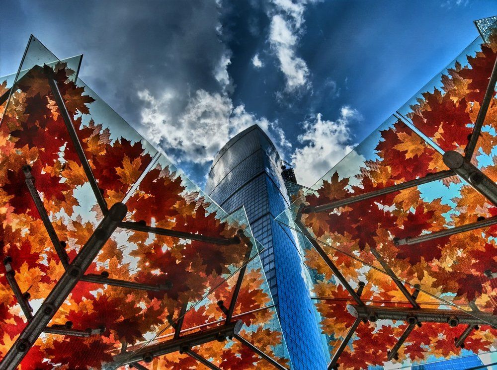 Автобусная остановка "Москва-Сити"