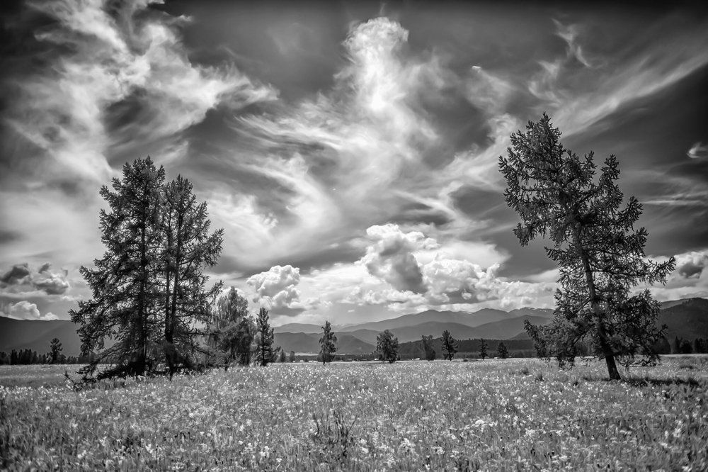 Алтай. Жаркий июль 2016 г.