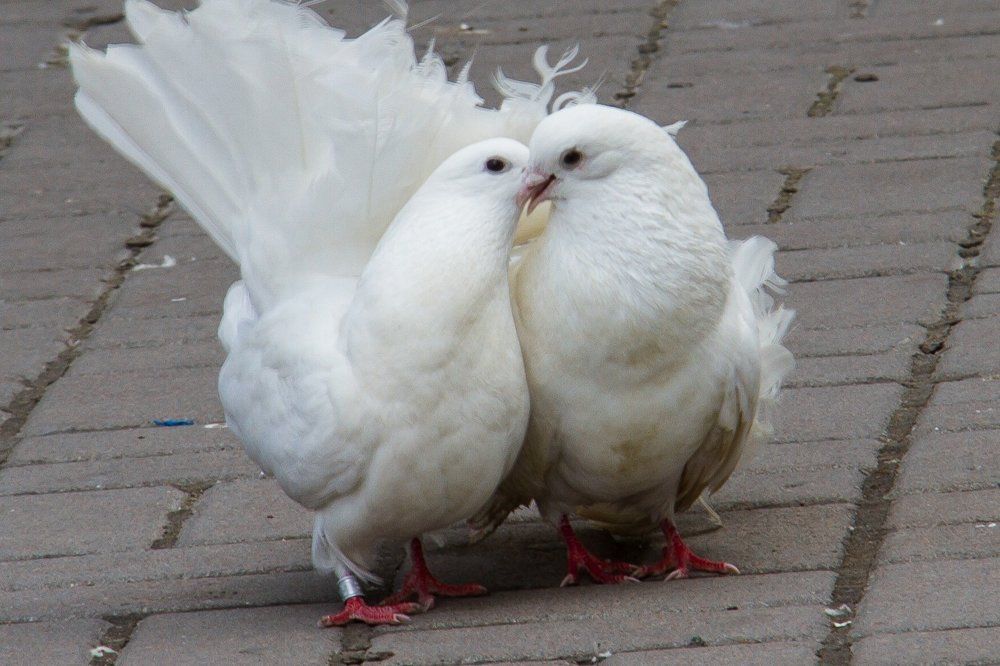 Ты меня любишь?