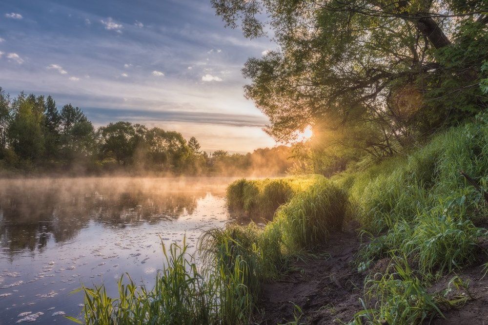 Божье Творение