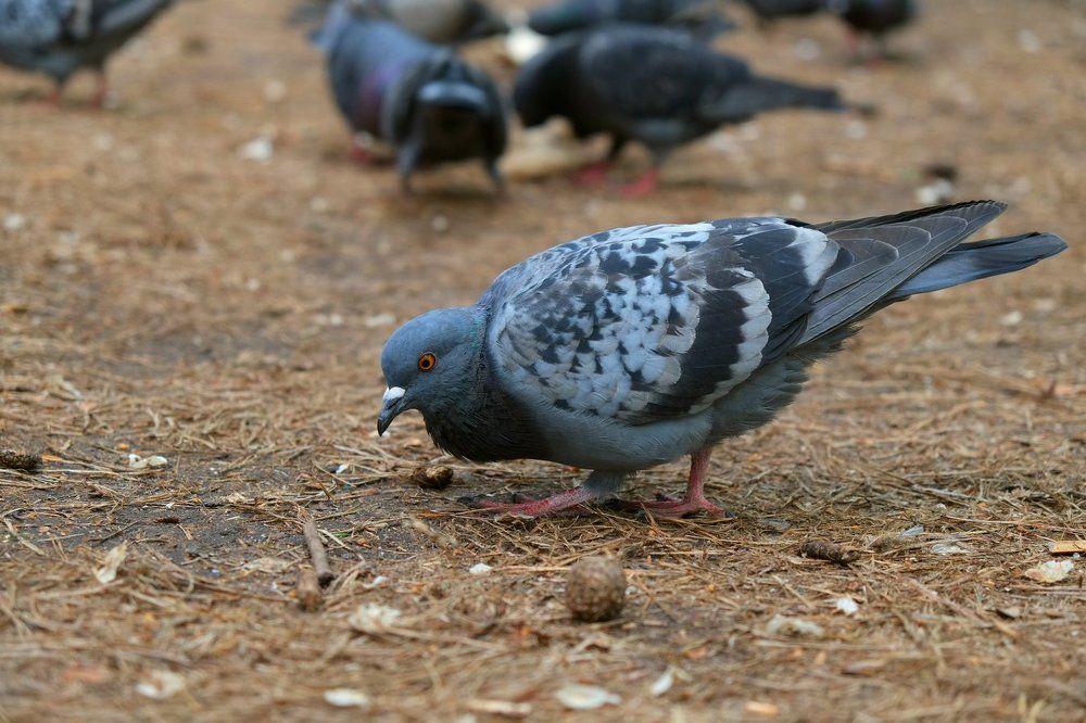 Photograph by Андрей