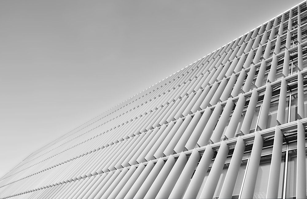 Photograph by Ricardo Pereira