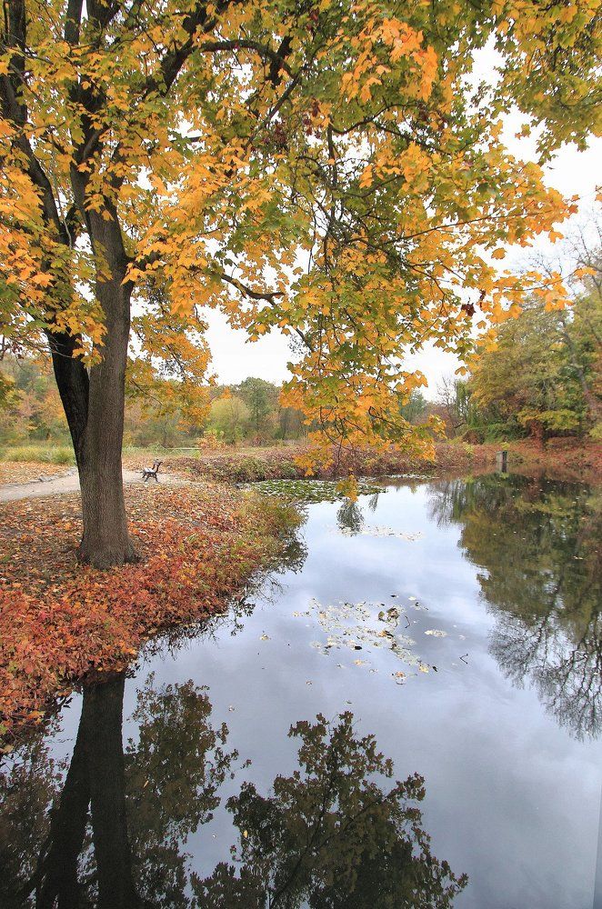 Очарована, околдована