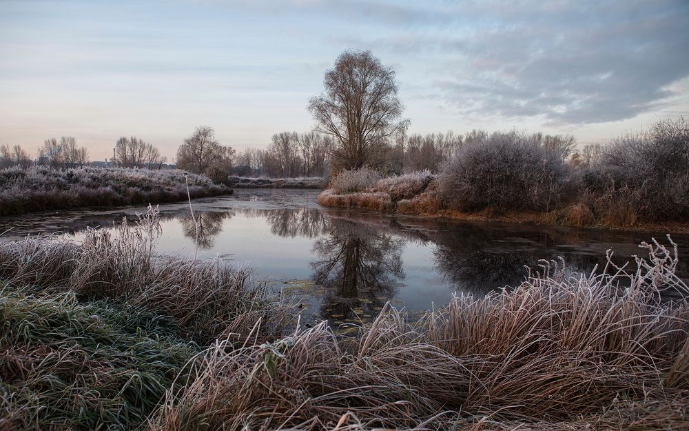 Первый заморозок