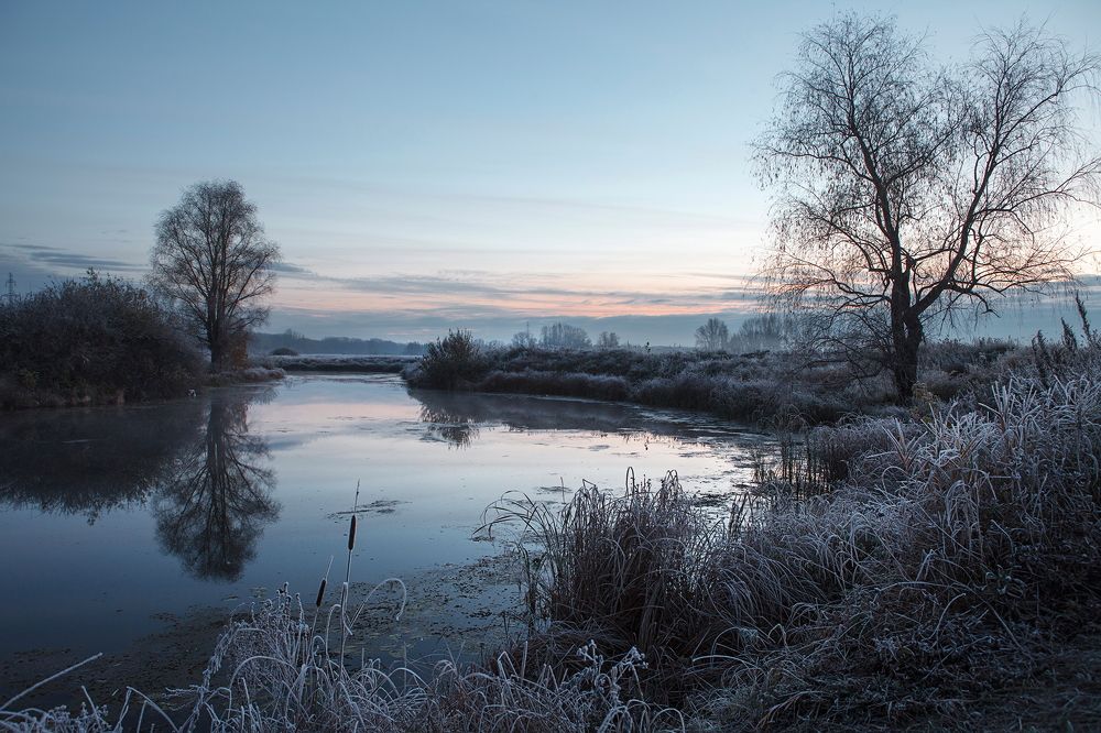 Осенний заморозок